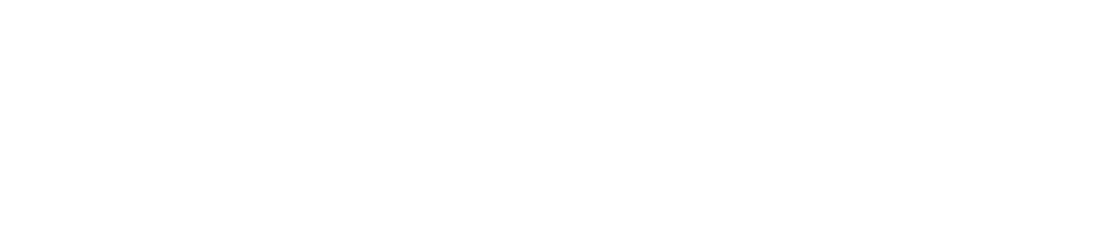 Euler Hermes